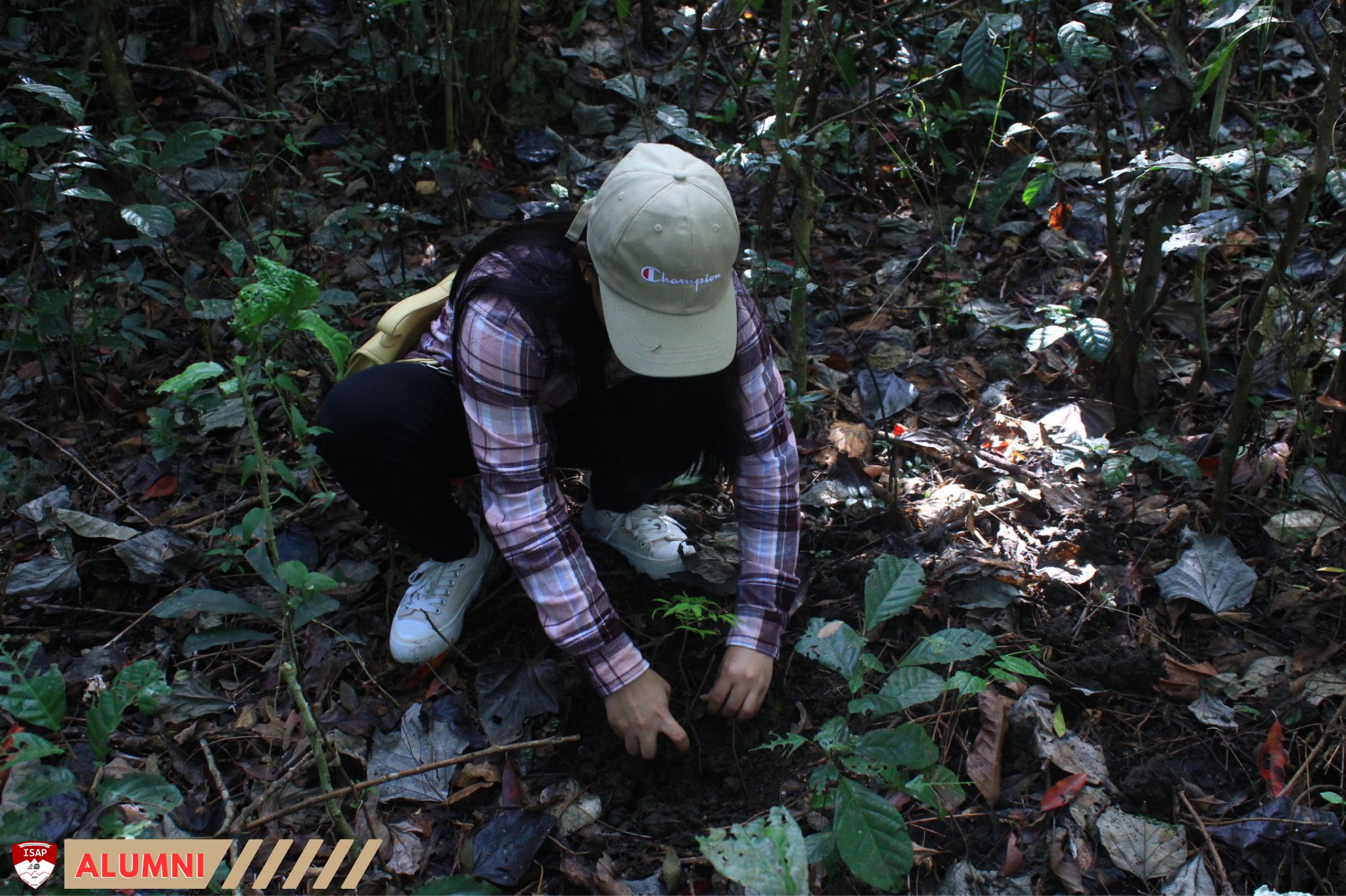 ISAP ALUMNI | TREE PLANTING 2024 - ISAP